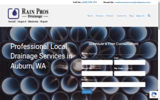 Rain Pros website
