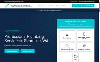 Pro Plumber Shoreline website