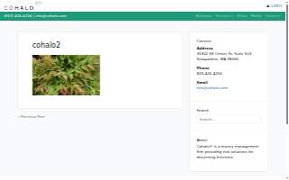 Cohalo website