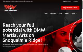 DMW Martial Arts website