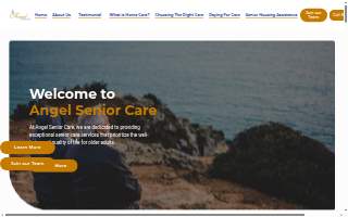Angel Senior Care website