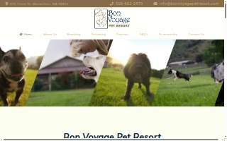 Bon Voyage Pet Resort website