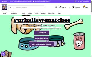 Furballs Grooming website