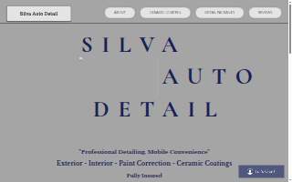 Silva's Auto Detail website