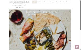 Blue Moon Studio Inc website