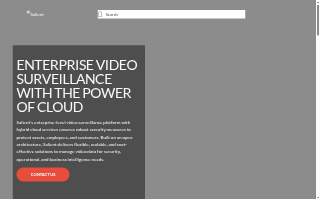 Salient Success Marketing, LLC website