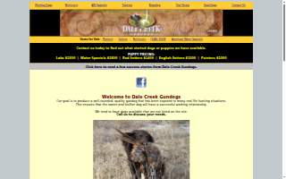 Dale Creek Gundogs LLC website
