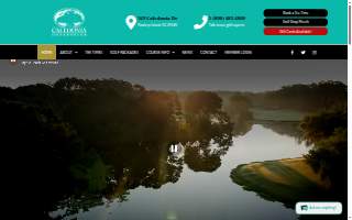 Caledonia Hair Co website