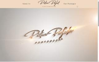 Picture Perfect PhotoBooth WI of Cedarburg website