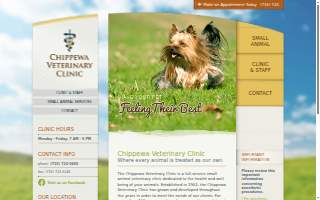 Chippewa Veterinary Clinic SC website