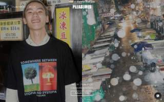 Pleasures of Home Inc website