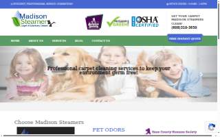 Madison Steamers website