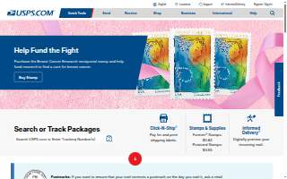 Package Pro Express Delivery website