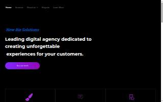 New Biz Solutions website