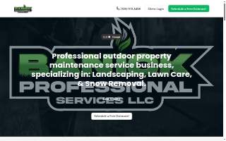 Banick Professional Services website