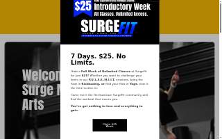 Surge Martial Arts of Menomonee Falls website