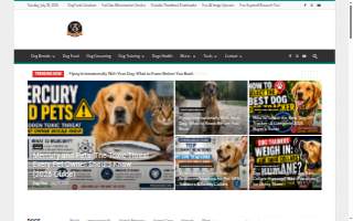 Dog's Best Friend Training of Middleton website