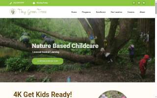 Tiny Green Trees Nature Based Childcare and Forest School website