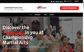Black Belt Karate Studio website