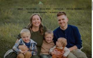 Stevenson Family Chiropractic website