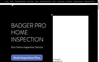 Badger Pro Home inspection llc website