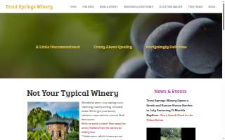 Trout Springs Winery website