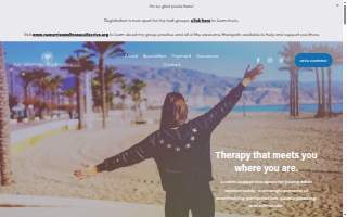No Worries Wellness LLC website