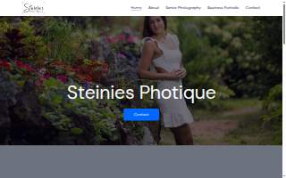 Steinies Photique website