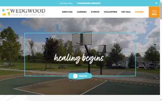 Developmental Therapy Center, Inc. website