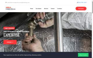 American Professional Plumbing Services Llc website