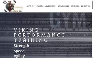 Viking Performance Training LLC website