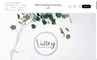 Valley Counseling website