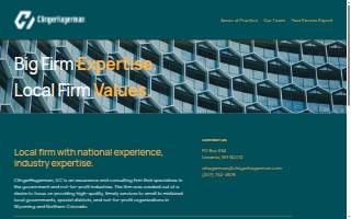 Consulting website