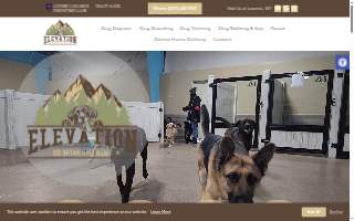 Elevation Pet Resort website