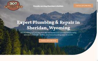 307 Plumbing Co. website