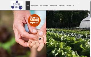 Blue-Zee Farm website