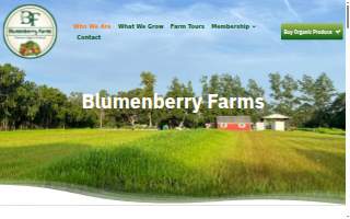 Blumenberry Farms, LLC website