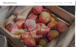 Willow Wind Farms LLC website