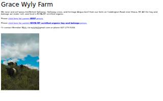 Brendan Wyly website
