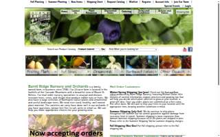 Burnt Ridge Orchards Inc. website