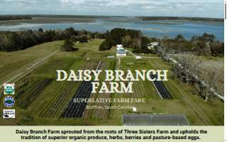 Daisy Branch Farm LLC website