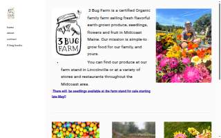3 Bug Farm website