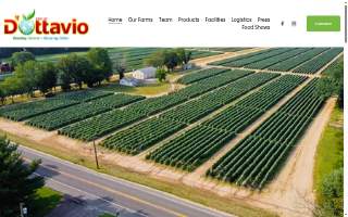 D'Ottavio Farms website