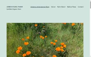 Ambling Ambystoma Farm website