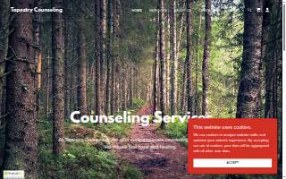 Tapestry Counseling website
