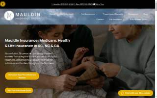 Mauldin Insurance Group website