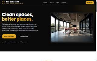 The Cleaners website