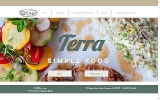 Terra website