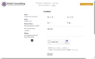 violet consulting salesforce website