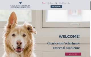 Charleston Veterinary Internal Medicine website